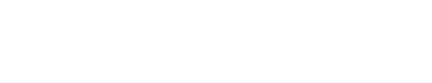 FlexNGate Logo